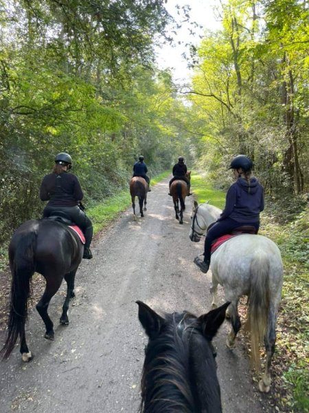 Ecuries La Clé des Champs - photo 1