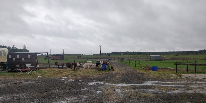 Ecuries La Clé des Champs - photo 2