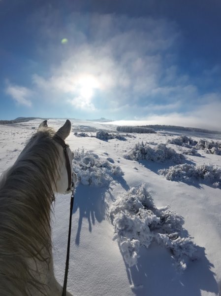 Cavaliers des Monts Brumeux - photo 1