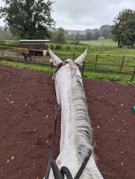 Cavaliers des Monts Brumeux - photo 2