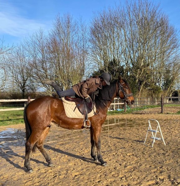 Ecurie De Propriétaire A Gouttières - photo 2