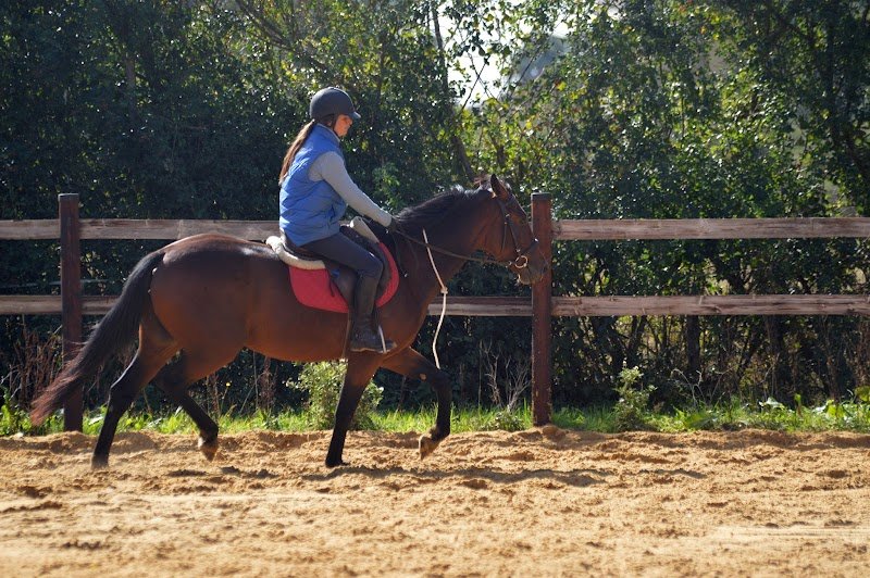 Ecurie De Propriétaire A Gouttières - photo 3