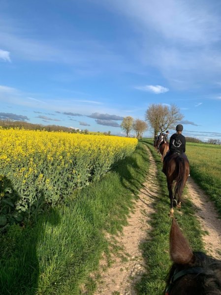 Les écuries du crin Awa - photo 3