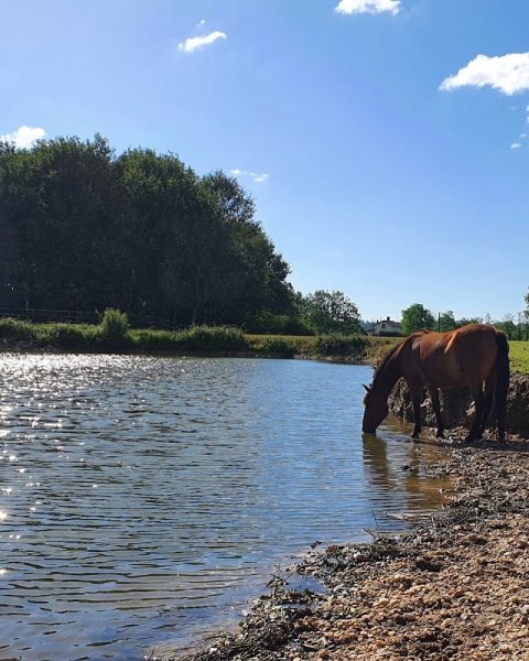 ecurie pierre delcros - photo 3