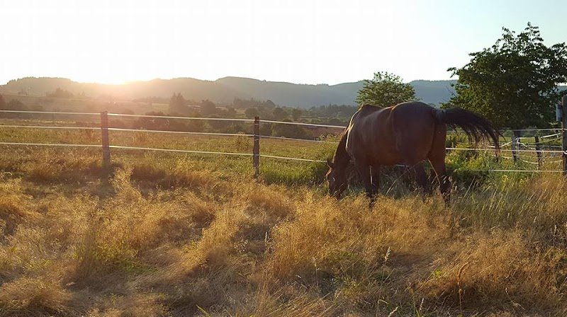 Ecurie Sauvagnat - photo 2