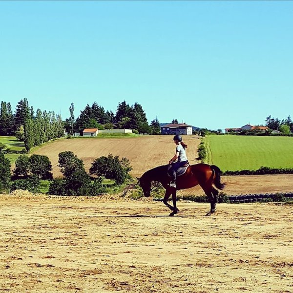 Ecurie Sauvagnat - photo 3