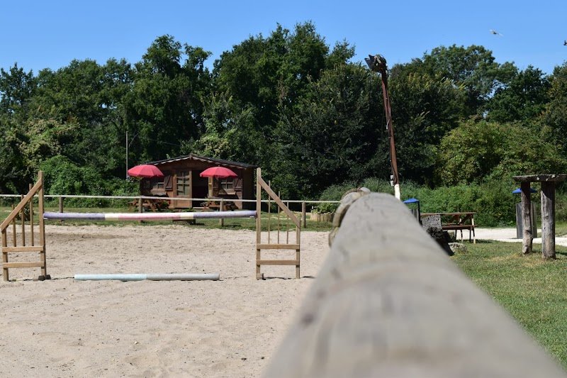 Ecurie Quentin - photo 2