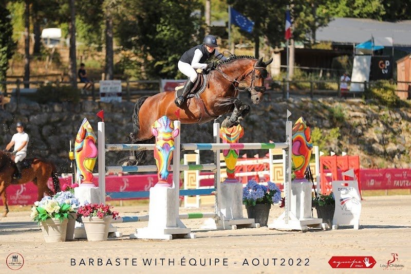 Ecuries - Domaine de Saint Lieux - photo 2