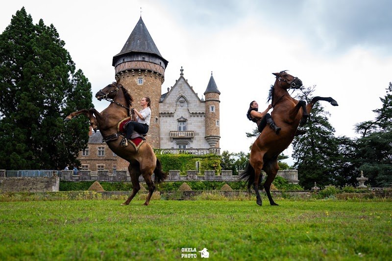 Vikinger - Spectacle Equestre Auvergne