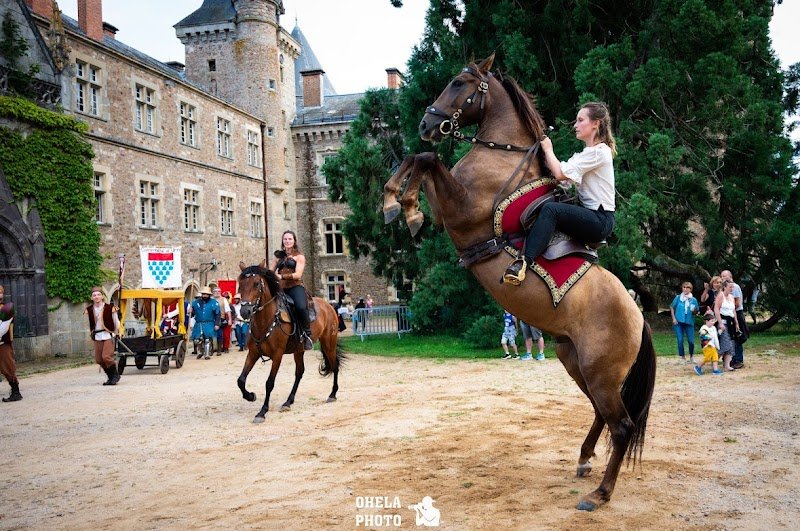 Vikinger - Spectacle Equestre Auvergne - photo 2