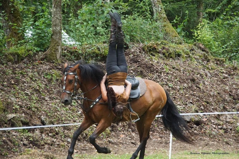 Vikinger - Spectacle Equestre Auvergne - photo 3