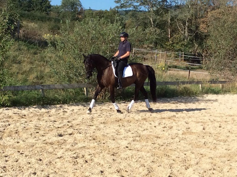 Centre equestre à Lyon Ecuries du vallon - photo 1
