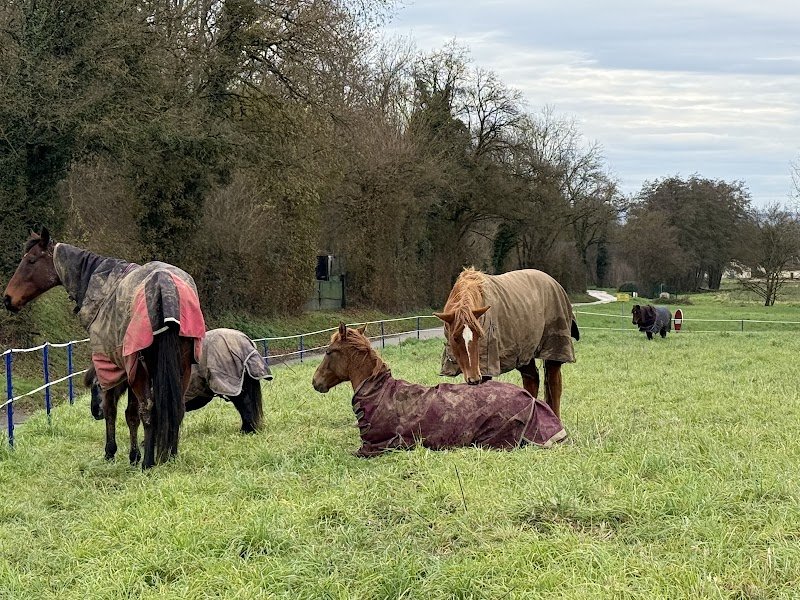 Centre equestre à Lyon Ecuries du vallon - photo 2