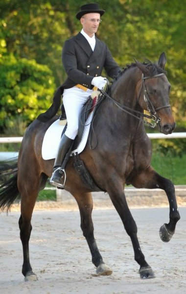 Centre equestre à Lyon Ecuries du vallon - photo 3