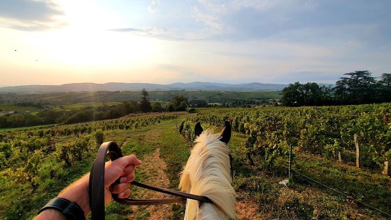 Écuries Claude Vermorel - photo 1