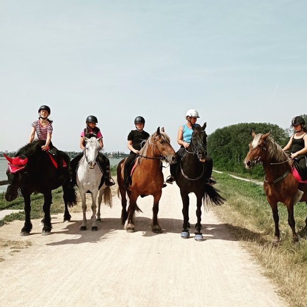 CHEVAL AVENTUR - photo 1