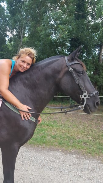 CHEVAL AVENTUR - photo 3