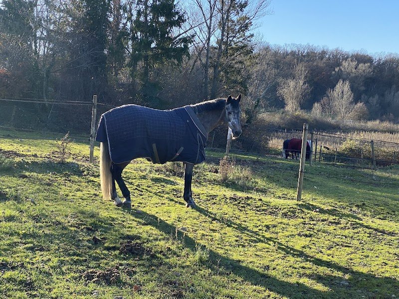 ECURIE MASSAT - photo 2