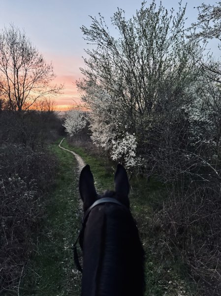 ECURIE MASSAT - photo 3