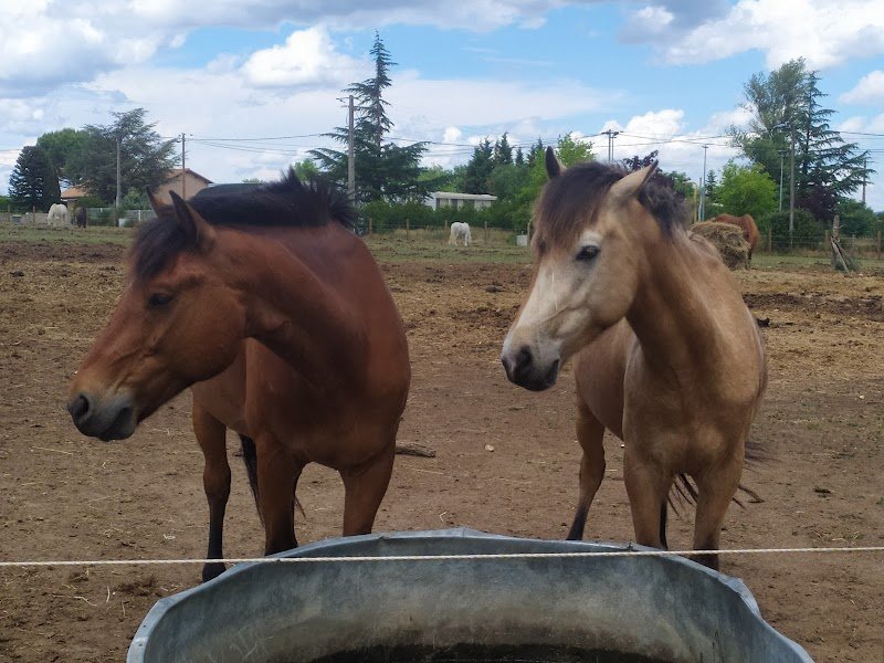 Ecuries Balaska - photo 3