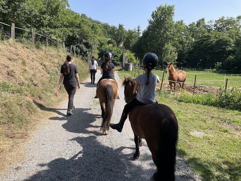 Poney Club de Barny - photo 3