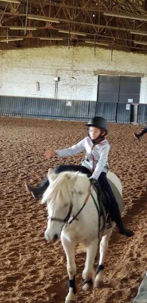 Ecurie de la cozonnière - photo 1