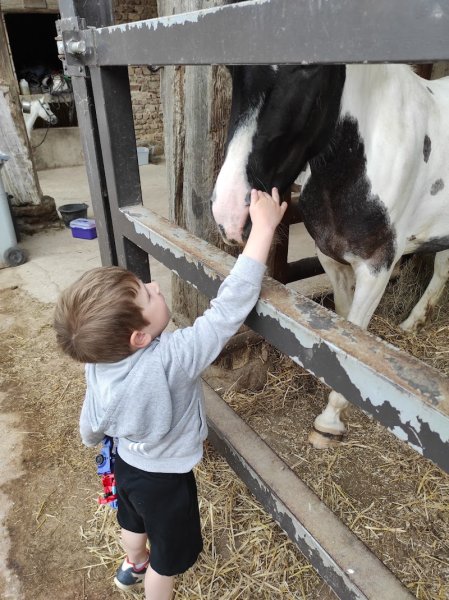 Ecurie de la cozonnière - photo 2