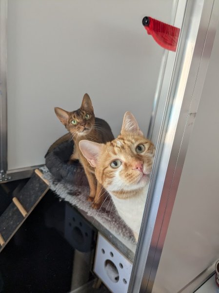 Pension Félibelle - photo 1