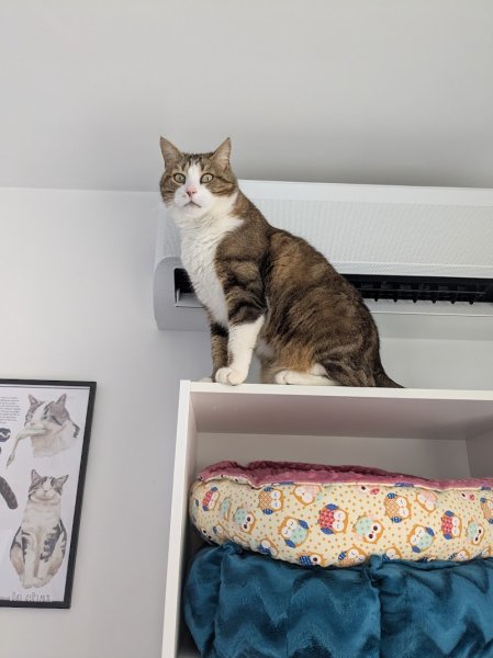 Pension Félibelle - photo 3