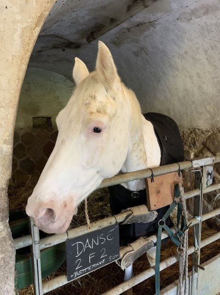 Centre Équestre du Fort de Feyzin - photo 2