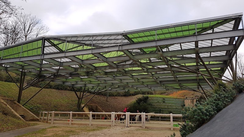 Centre Équestre du Fort de Feyzin - photo 3