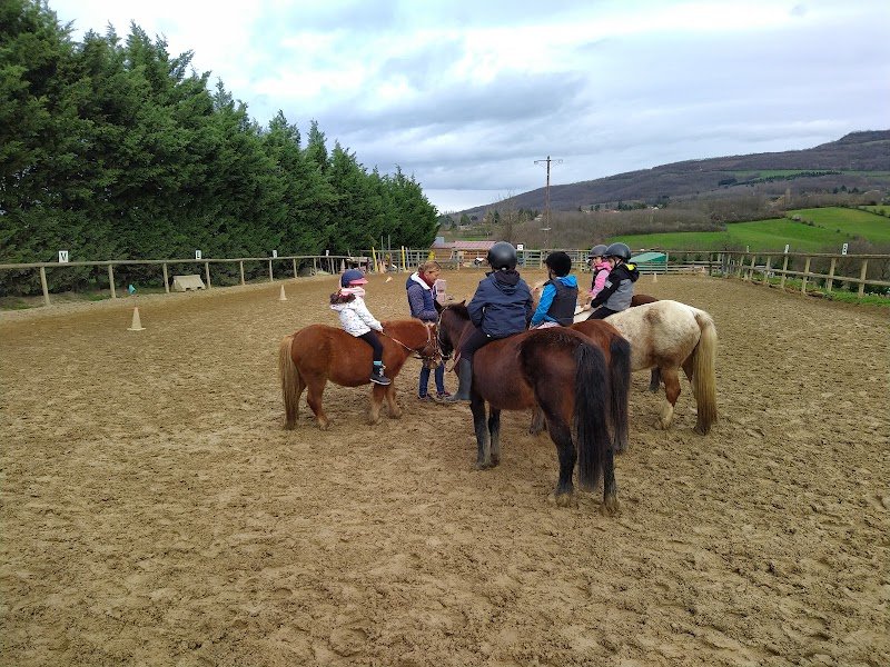 Centre équestre - Écuries de Bois Dieu - photo 3
