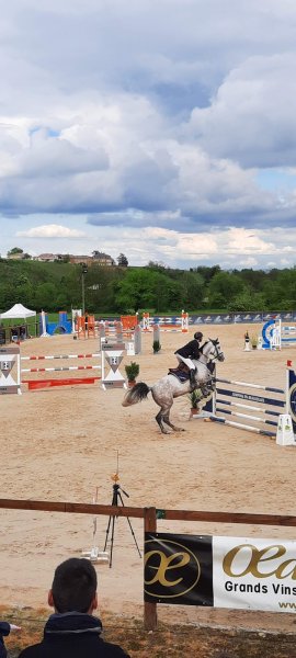 Centre Équestre de Denicé - photo 1