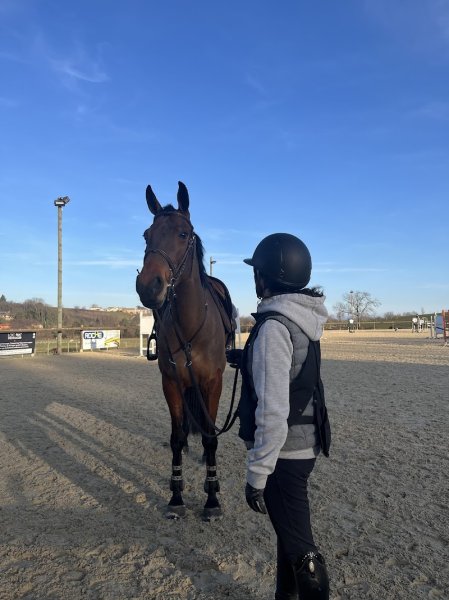 Centre Équestre de Denicé - photo 2