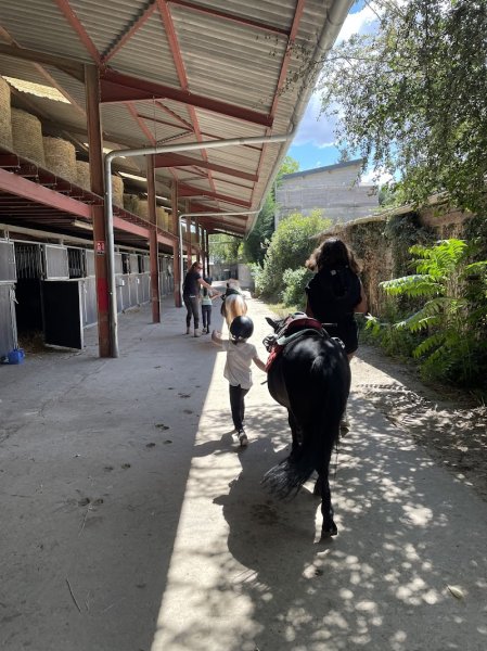 Poney Club Du Nanchet - photo 1