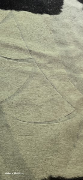 Poney Club Du Nanchet - photo 2