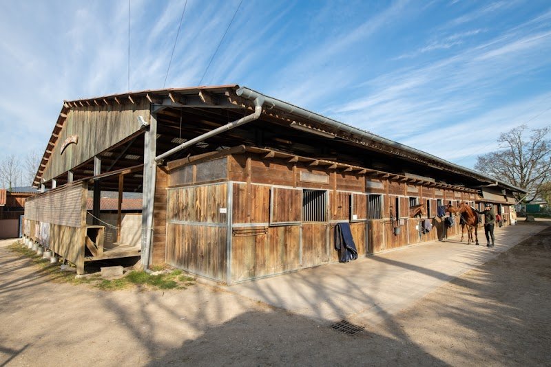 Écurie du domaine - photo 3