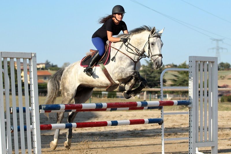 Club Hippique de Pollionnay - photo 2