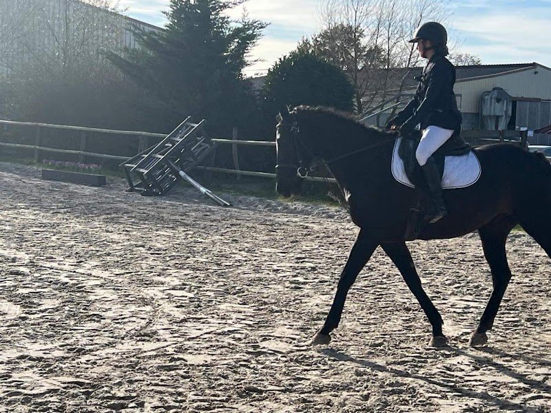 Centre Équestre de Chantemerle - photo 3