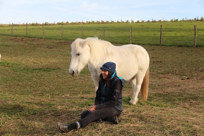 CHEVAL' ENVOL - photo 1