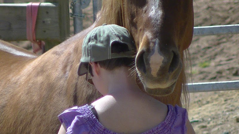 CHEVAL' ENVOL - photo 2