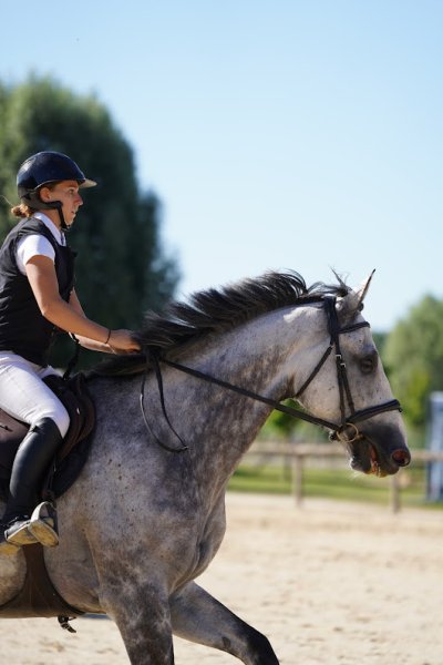 Ecurie Eloïse Viricel - photo 3