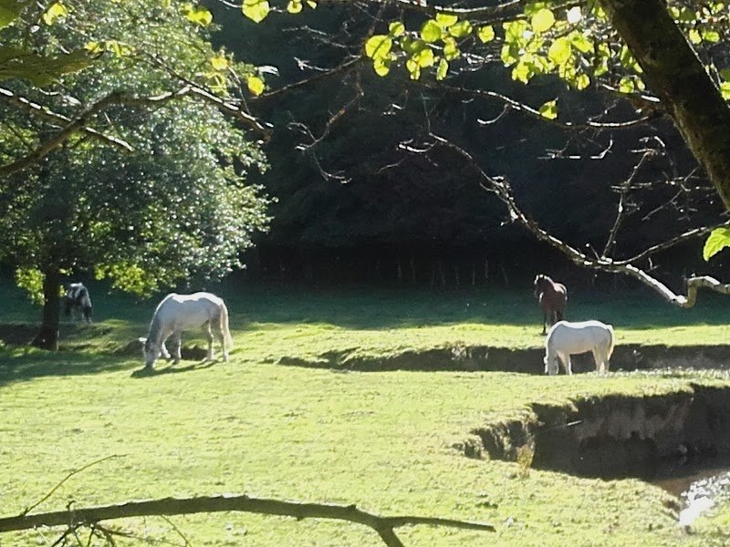 Haras du Sottier - photo 2