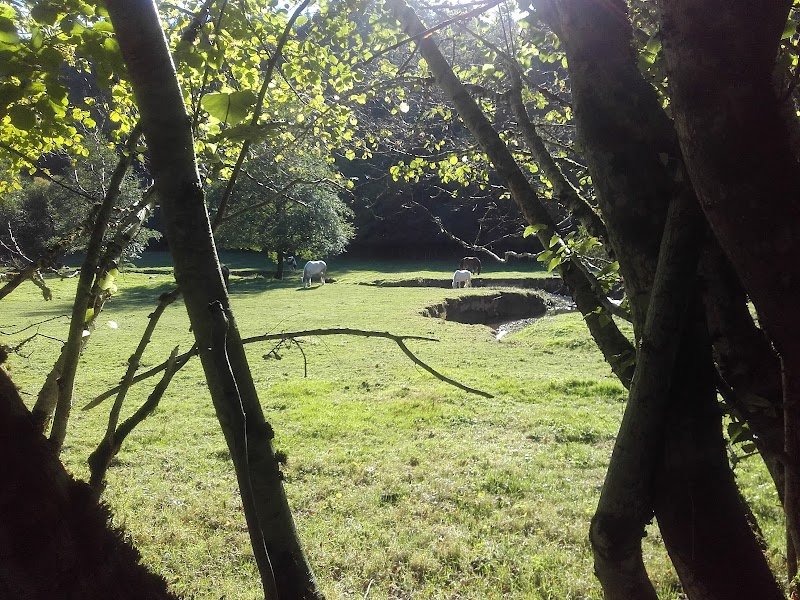 Haras du Sottier - photo 3