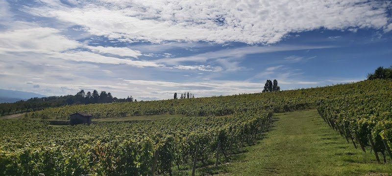 La Poneyterie - photo 1