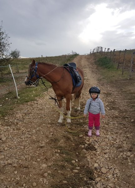 La Poneyterie - photo 2