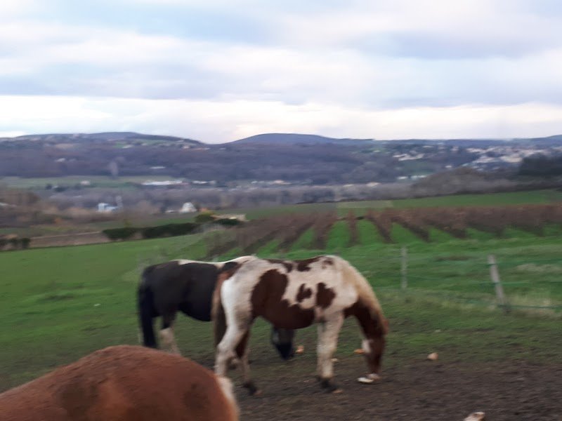 La Poneyterie - photo 3