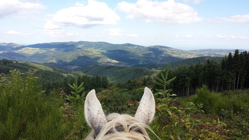 CHEVAL D'AZERGUES - photo 1