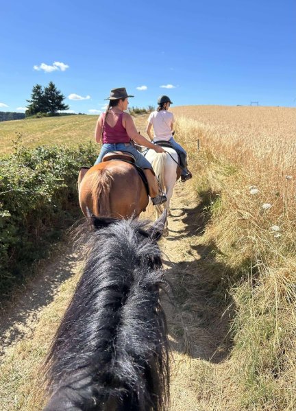 CHEVAL D'AZERGUES - photo 2