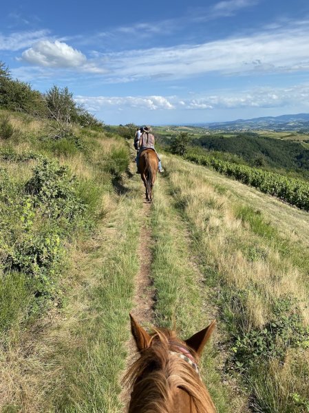 CHEVAL D'AZERGUES - photo 3